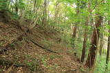 備後 丸原山城の写真