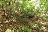 備後 丸原山城の写真
