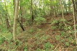 備後 丸原山城の写真
