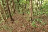 備後 丸原山城の写真