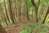 備後 丸原山城の写真