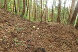 備後 丸原山城の写真
