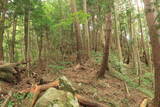 備後 丸原山城の写真