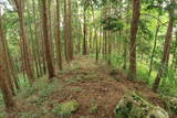 備後 丸原山城の写真