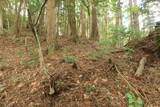 備後 丸原山城の写真