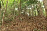 備後 丸原山城の写真