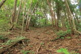 備後 丸原山城の写真