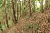 備後 丸原山城の写真