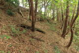 備後 丸原山城の写真
