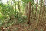 備後 丸原山城の写真