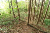 備後 丸原山城の写真