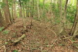 備後 丸原山城の写真