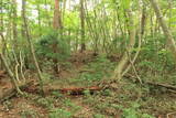 備後 丸原山城の写真
