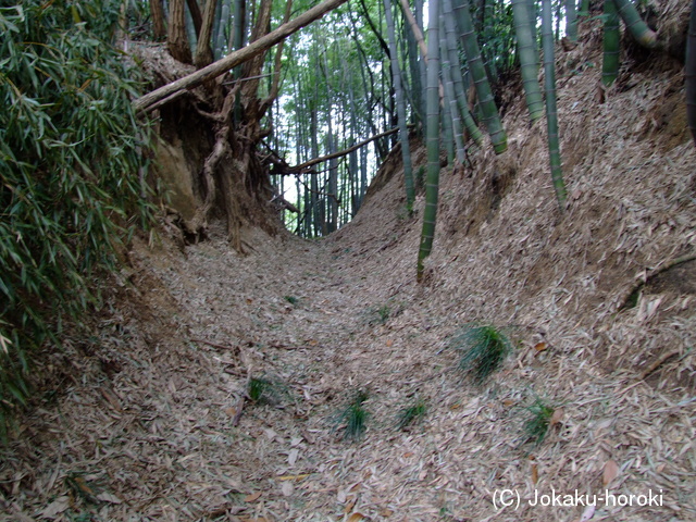 備後 的場山城の写真