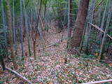 備後 的場山城の写真