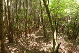 備後 三角山城の写真