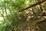 備後 三角山城の写真