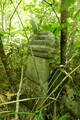 備後 三角山城の写真