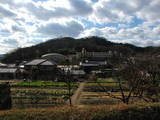 備後 桜山城(新市町)の写真