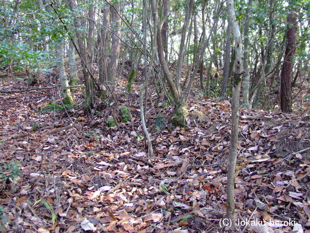 備後 茶臼山城(向江田町)の写真