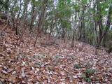 備後 陣山城(向江田町)の写真