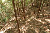 備後 龍王山城(西世羅町)の写真