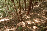 備後 龍王山城(西世羅町)の写真