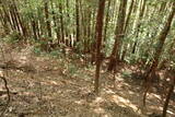 備後 龍王山城(西世羅町)の写真