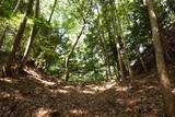 備後 龍王山城(西世羅町)の写真