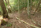 備後 龍王山城(西世羅町)の写真