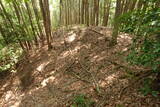 備後 龍王山城(西世羅町)の写真