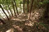 備後 龍王山城(西世羅町)の写真