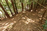 備後 龍王山城(西世羅町)の写真