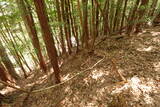 備後 龍王山城(西世羅町)の写真