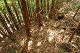 備後 龍王山城(西世羅町)の写真