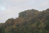 備後 龍王山城(西世羅町)の写真