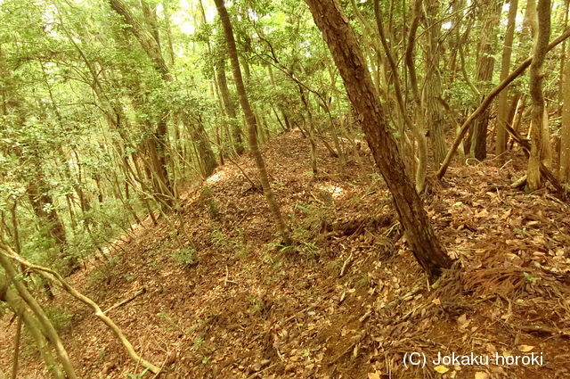 備後 城山城(庄原市)の写真