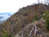 備後 鳴滝山城の写真