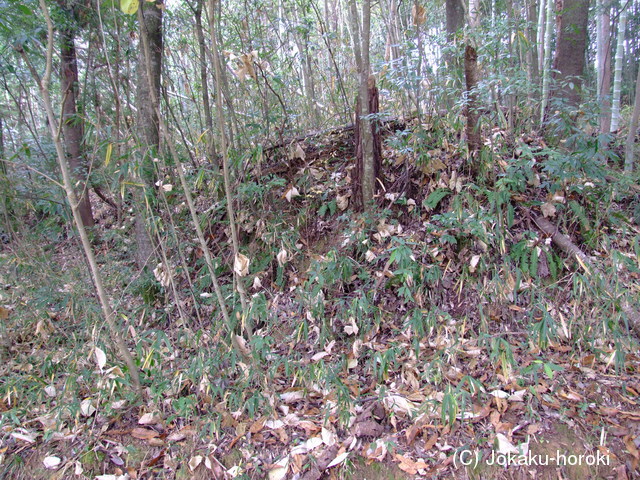 備後 野稲城の写真