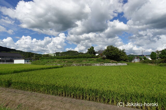 備後 沼城の写真