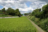 備後 沼城の写真
