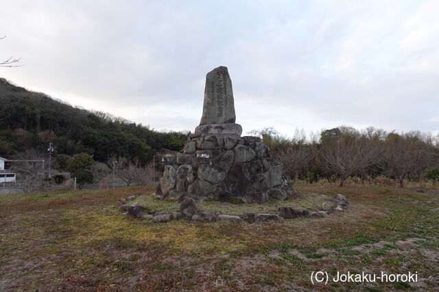 備後 丸山城(沼隈町)の写真