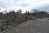 備後 丸山城(沼隈町)の写真