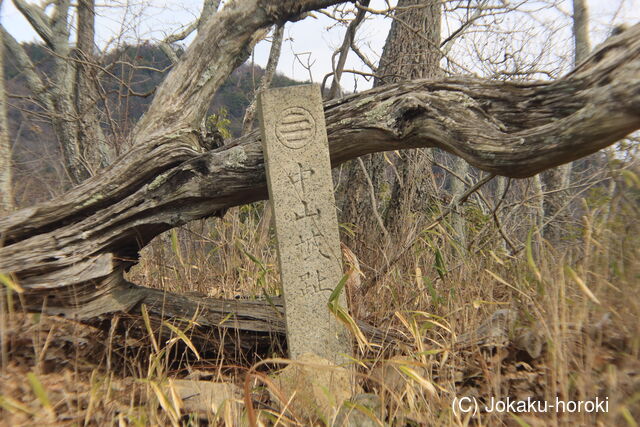 備後 中山城(尾道市)の写真