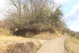 備後 中山城(尾道市)の写真