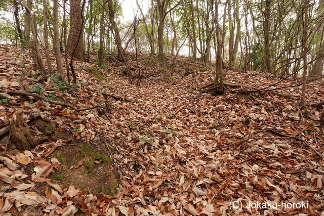 備後 大内山城の写真