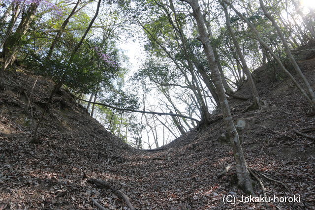 備後 大笹山城の写真