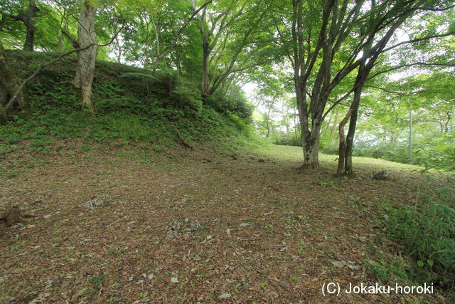 備後 大富山城の写真