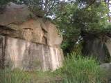 備後 千光寺山城の写真