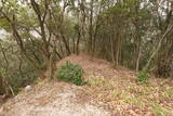 備後 泉山城の写真